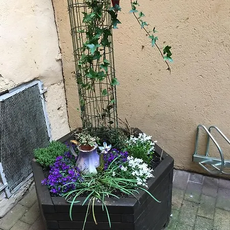 La Cour Des Cordonniers, Centre Cathedrale Petite France Apartment Strasbourg