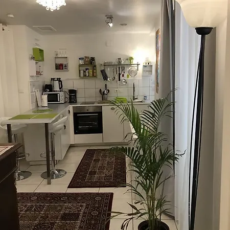 La Cour Des Cordonniers, Centre Cathedrale Petite France * 斯特拉斯堡